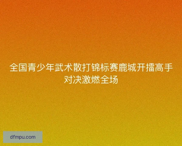全国青少年武术散打锦标赛鹿城开擂高手对决激燃全场