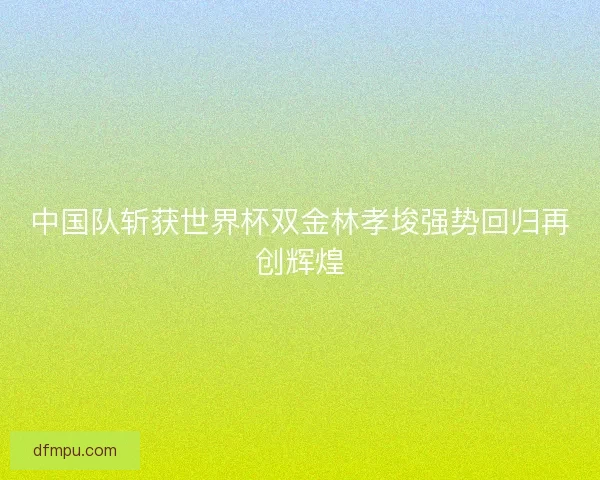 中国队斩获世界杯双金林孝埈强势回归再创辉煌